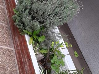 Foto 4 de Casa en  ALQUILER, Villa Allende CENTRO