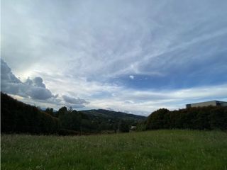 Foto 5 de Lote en Venta en Alto de Palmas