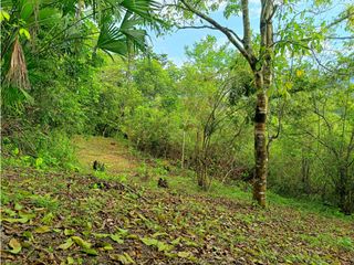 Foto 12 de Maat vende Lote Campestre, Villeta  14.400m2 $370Millones