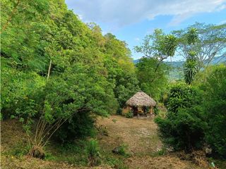 Foto 1 de Maat vende Lote Campestre, Villeta  14.400m2 $370Millones