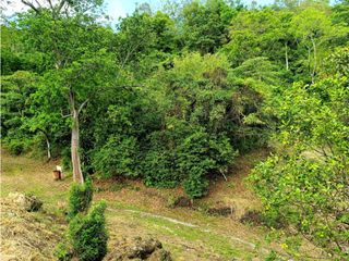 Foto 9 de Maat vende Lote Campestre, Villeta  14.400m2 $370Millones