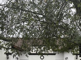 Foto 3 de Casa en  Venta en Country Las Yungas