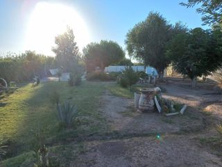 Foto 10 de EN VENTA EXCELENTE FINCA 25 HECTAREAS EN GENERAL ALVEAR , MENDOZA