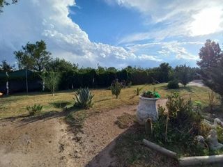 Foto 2 de EN VENTA EXCELENTE FINCA 25 HECTAREAS EN GENERAL ALVEAR , MENDOZA