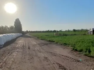Foto 5 de EN VENTA EXCELENTE FINCA 25 HECTAREAS EN GENERAL ALVEAR , MENDOZA