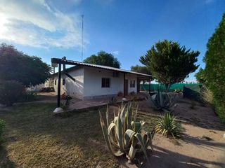 Foto 1 de EN VENTA EXCELENTE FINCA 25 HECTAREAS EN GENERAL ALVEAR , MENDOZA