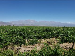 Foto 35 de MAGNIFICA FINCA EN VENTA EN ALTAMIRA VALLE DE UCO
