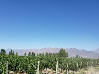 Foto 23 de MAGNIFICA FINCA EN VENTA EN ALTAMIRA VALLE DE UCO