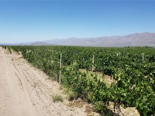 Foto 34 de MAGNIFICA FINCA EN VENTA EN ALTAMIRA VALLE DE UCO