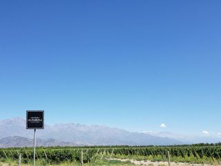 Foto 5 de MAGNIFICA FINCA EN VENTA EN ALTAMIRA VALLE DE UCO