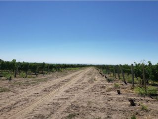 Foto 13 de MAGNIFICA FINCA EN VENTA EN ALTAMIRA VALLE DE UCO
