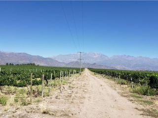 Foto 38 de MAGNIFICA FINCA EN VENTA EN ALTAMIRA VALLE DE UCO