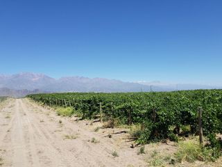 Foto 42 de MAGNIFICA FINCA EN VENTA EN ALTAMIRA VALLE DE UCO
