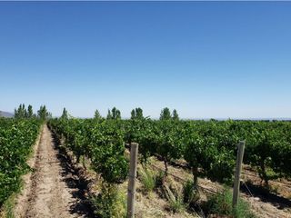 Foto 29 de MAGNIFICA FINCA EN VENTA EN ALTAMIRA VALLE DE UCO