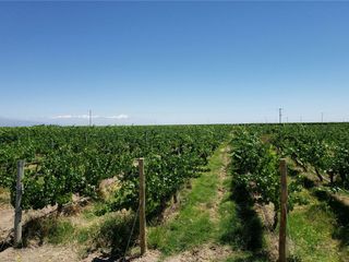 Foto 41 de MAGNIFICA FINCA EN VENTA EN ALTAMIRA VALLE DE UCO