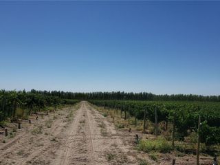 Foto 20 de MAGNIFICA FINCA EN VENTA EN ALTAMIRA VALLE DE UCO
