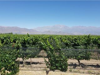 Foto 7 de MAGNIFICA FINCA EN VENTA EN ALTAMIRA VALLE DE UCO
