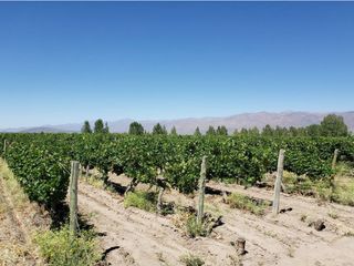 Foto 25 de MAGNIFICA FINCA EN VENTA EN ALTAMIRA VALLE DE UCO