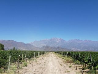 Foto 1 de MAGNIFICA FINCA EN VENTA EN ALTAMIRA VALLE DE UCO