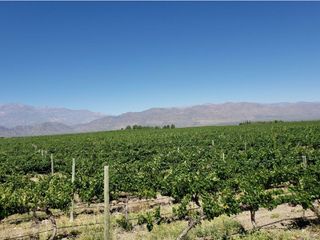 Foto 2 de MAGNIFICA FINCA EN VENTA EN ALTAMIRA VALLE DE UCO