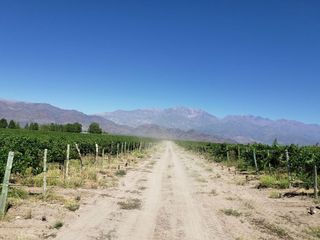 Foto 43 de MAGNIFICA FINCA EN VENTA EN ALTAMIRA VALLE DE UCO