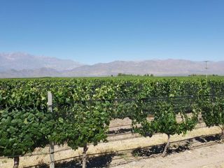 Foto 24 de MAGNIFICA FINCA EN VENTA EN ALTAMIRA VALLE DE UCO