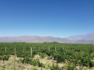Foto 39 de MAGNIFICA FINCA EN VENTA EN ALTAMIRA VALLE DE UCO
