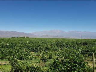Foto 4 de MAGNIFICA FINCA EN VENTA EN ALTAMIRA VALLE DE UCO