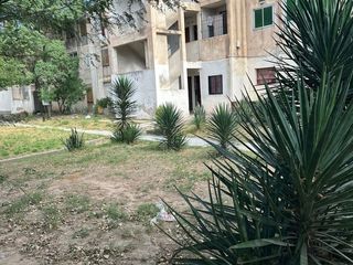 Foto 4 de VENTA DPTO. 3 DORM. P.B, PATIO Y ASADOR