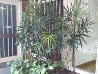 Foto 14 de Belgrano, Vidal 2600, 2° piso Alquiler 4 ambientes COCHERA