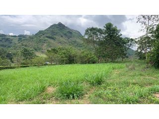 Foto 6 de VENTA LOTE, TARSO - SUROESTE ANTIOQUEÑO