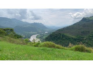 Foto 5 de VENTA LOTE, TARSO - SUROESTE ANTIOQUEÑO