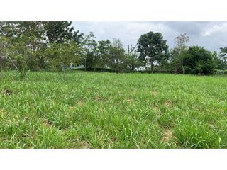Foto 2 de VENTA LOTE, TARSO - SUROESTE ANTIOQUEÑO