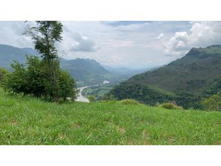 Foto 4 de VENTA LOTE, TARSO - SUROESTE ANTIOQUEÑO