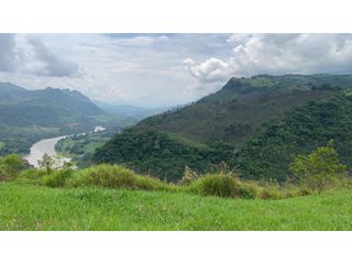 Foto 7 de VENTA LOTE, TARSO - SUROESTE ANTIOQUEÑO