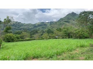 Foto 3 de VENTA LOTE, TARSO - SUROESTE ANTIOQUEÑO