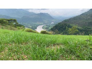 Foto 1 de VENTA LOTE, TARSO - SUROESTE ANTIOQUEÑO