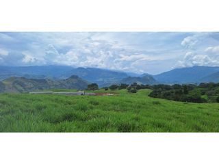 Foto 4 de VENTA LOTE TARSO SUROESTE ANTIOQUEÑO U C