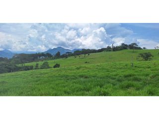Foto 1 de VENTA LOTE TARSO SUROESTE ANTIOQUEÑO U C