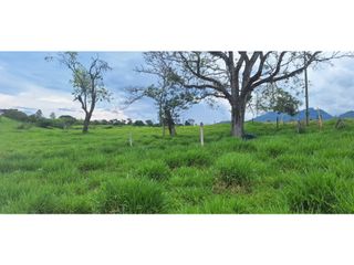 Foto 3 de VENTA LOTE TARSO SUROESTE ANTIOQUEÑO U C