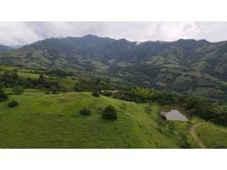 Foto 8 de VENTA DE LOTE EN TARSO SUROESTE DE ANTIOQUIA U Cerrada