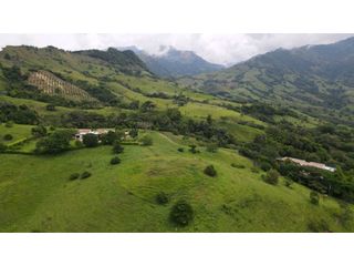 Foto 5 de VENTA DE LOTE EN TARSO SUROESTE DE ANTIOQUIA U Cerrada