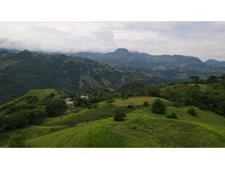 Foto 7 de VENTA DE LOTE EN TARSO SUROESTE DE ANTIOQUIA U Cerrada