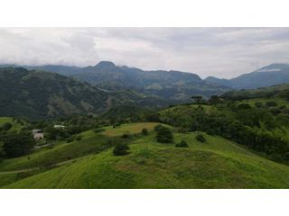 Foto 3 de VENTA DE LOTE EN TARSO SUROESTE DE ANTIOQUIA U Cerrada