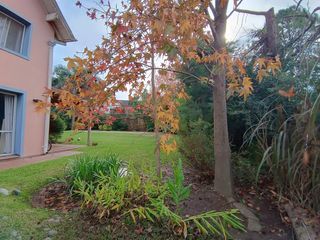 Foto 37 de Casa muy luminosa de 6 ambientes en La Colina con galería, jardín y pileta