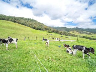Foto 9 de Hacienda en Venta en Tarqui, Cuenca, Azuay - 64,8 Hectareas - Hacienda Ganadera
