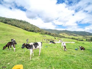 Foto 48 de Hacienda en Venta en Tarqui, Cuenca, Azuay - 64,8 Hectareas - Hacienda Ganadera