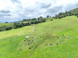 Foto 5 de Hacienda en Venta en Tarqui, Cuenca, Azuay - 64,8 Hectareas - Hacienda Ganadera