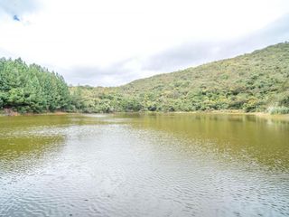 Foto 16 de Hacienda en Venta en Tarqui, Cuenca, Azuay - 64,8 Hectareas - Hacienda Ganadera