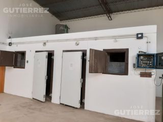 Foto 3 de Galpon con oficinas en Villa Belgrano
